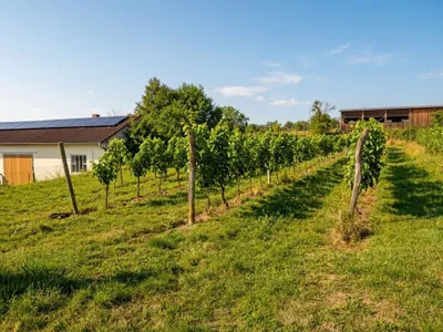 Grundstück kaufen in Krems Land – 125 m², € 79.950 – Bild 7 von 9