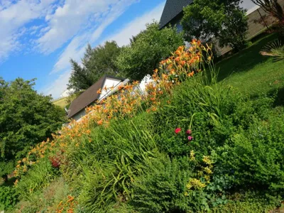 Haus kaufen in Mattersburg – 90 m², € 330.000 – Bild 6 von 33