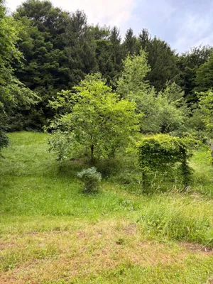 2-Zimmer-Immobilie kaufen in Güssing – 88 m², € 299.000 – Bild 16 von 46
