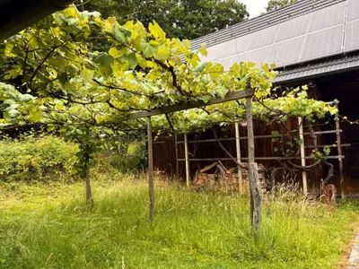 2-Zimmer-Immobilie kaufen in Güssing – 88 m², € 299.000 – Bild 18 von 46