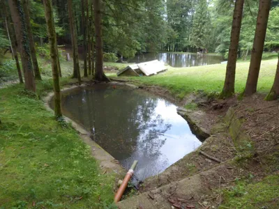 Immobilie kaufen in Graz-Umgebung – 60 m², € 230.000 – Bild 24 von 27
