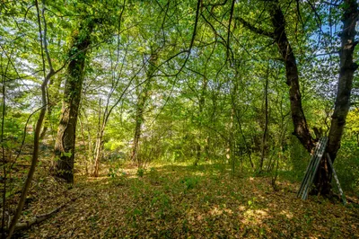 Grundstück kaufen in Tulln – 1 500 m², € 490.000 – Bild 3 von 3