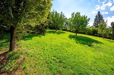 Grundstück kaufen in Tulln – 1 500 m², € 490.000 – Bild 2 von 3