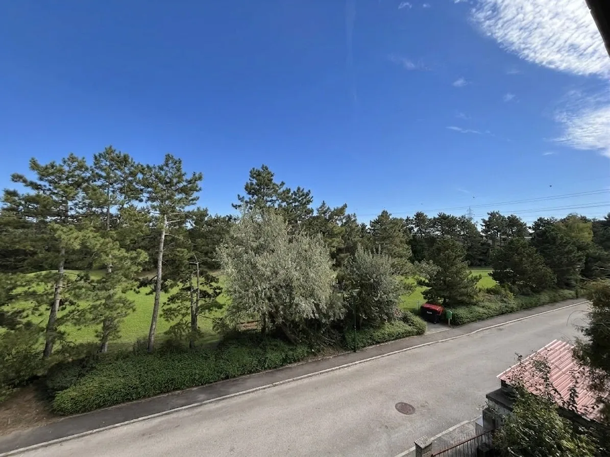 Baugrund in Wr. Neudorf: 553 m² voll aufgeschlossen in Ruhelage - 35% Bebauungsdichte (Privatverkauf) - Ansicht 3