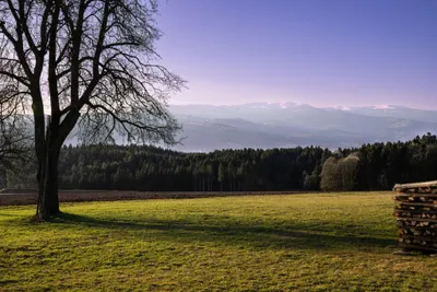 Grundstück kaufen in Wolfsberg – 12 355 m², € 649.900 – Bild 5 von 14