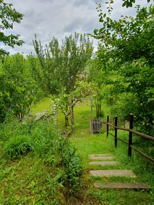 Immobilie kaufen in Krems Land – 673 m², € 75.000 – Bild 29 von 34