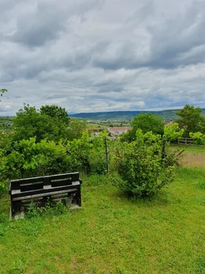 Immobilie kaufen in Krems Land – 673 m², € 75.000 – Bild 30 von 34