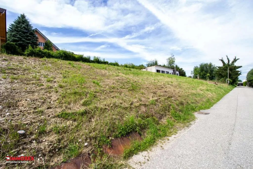Südhang - Reizvolles Grundstück mit Fernblick - Ansicht 2