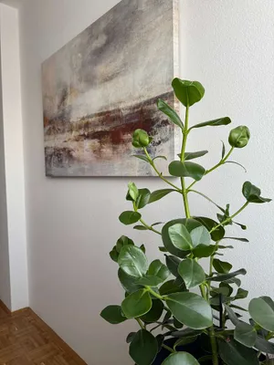 1-Zimmer-Gewerbeimmobilie mieten in Oberwart – 13 m², € 130 – Bild 2 von 6