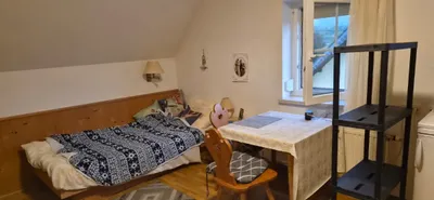 1-Zimmer-Wohnung mieten in Vöcklabruck – 20 m², € 420 – Bild 2 von 4