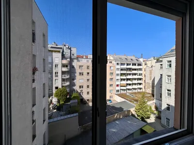 Helle, ruhige 2-Zimmerwohnung im Fasanviertel – Bild 3