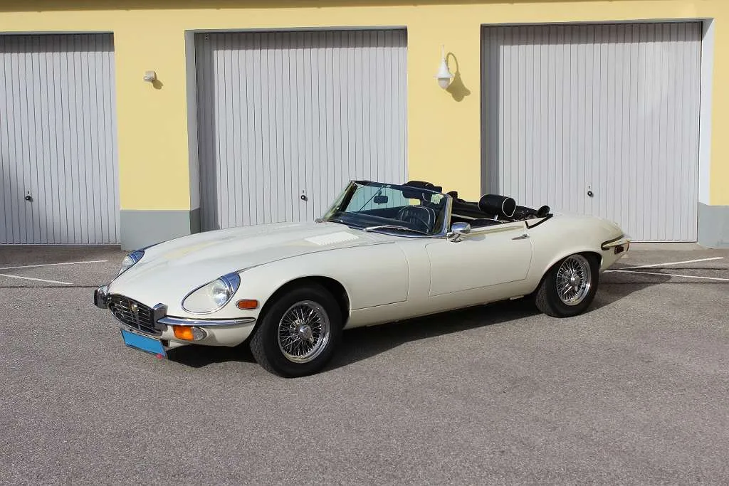 Jaguar Sonstige