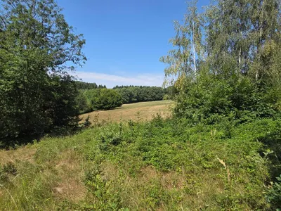 Grundstück kaufen in Sankt Pölten Land – 1 483 m², € 330.000 – Bild 4 von 7