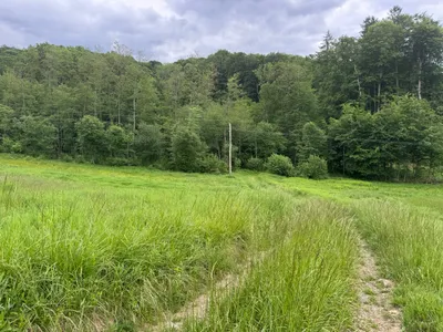 Grundstück kaufen in Südoststeiermark – 15 000 m², € 190.000 – Bild 6 von 8