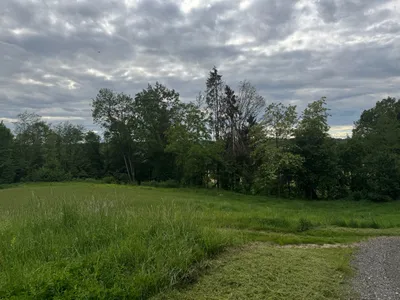 Grundstück kaufen in Südoststeiermark – 15 000 m², € 190.000 – Bild 5 von 8