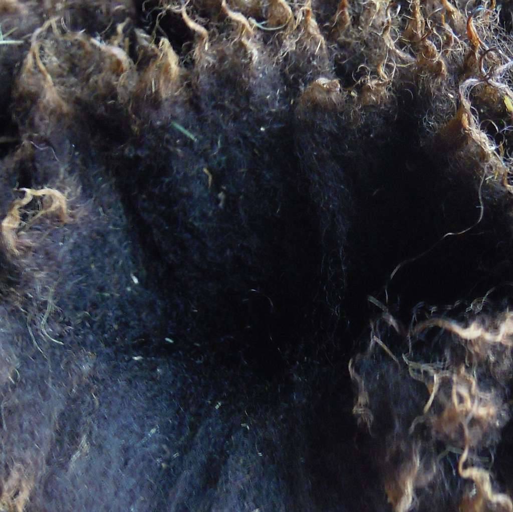 Bio Schafwolle, Schurwolle, Rohwolle, Wolle, Schafswolle unbehandelt, zum  Spinnen und Filzen, als natrlicher Dnger, Dmmmaterial,  3,- (4280  Kastendorf) - willhaben