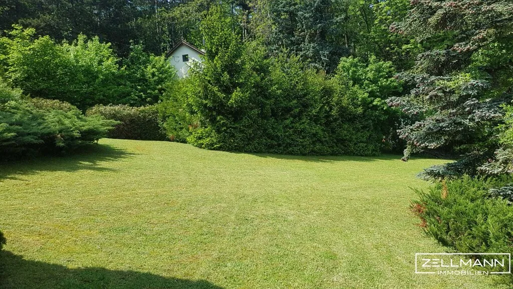 Seltene Gelegenheit: Winzerhaus auf uneinsehbarem Grundstück | ZELLMANN IMMOBILIEN - Ansicht 3