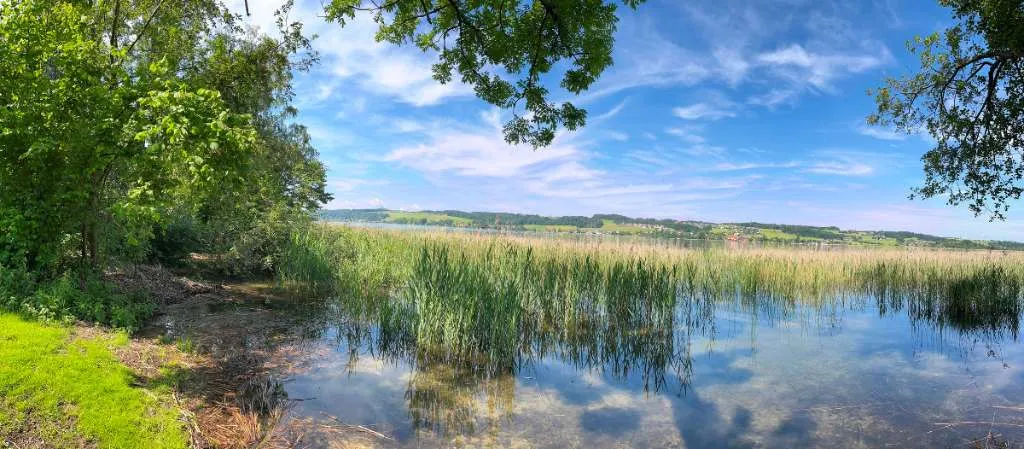 SEEGRUNDSTÜCK MATTSEE / direkt am Obertrumer See im Salzburger Land - Ansicht 3