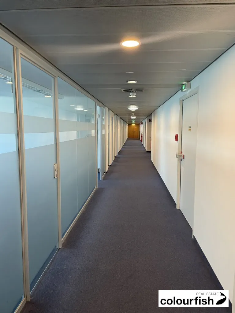 OC 4 Bürohaus - modernes Arbeiten auf 246 m² I 555 m² I 1.022 m² I 1.270 m² - Ansicht 3