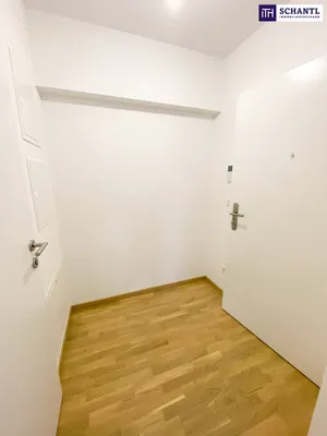 1-Zimmer-Wohnung mieten in Wien – 37,37 m², € 800 – Bild 5 von 10