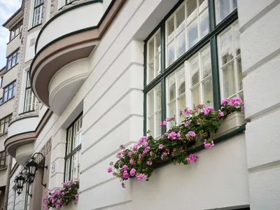 2-Zimmer-Wohnung kaufen in Wien – 62,75 m², € 469.000 – Bild 15 von 35