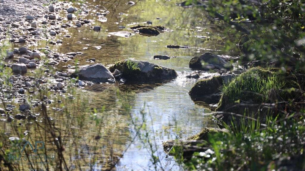 Natur pur - Traumlage Adnet! - Ansicht 2