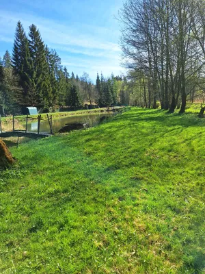 Immobilie kaufen in Horn – 7 200 m², € 169.000 – Bild 13 von 18