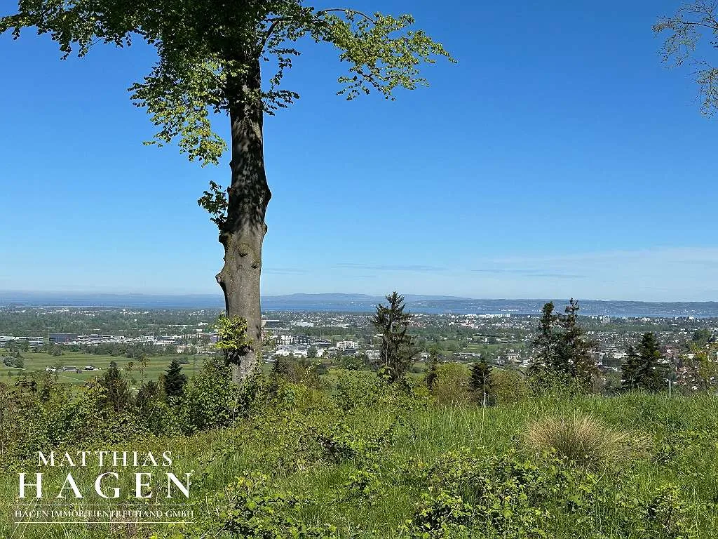 Teilungsvariante: 4 Grundstücke - zwischen ca. 1005 m² bis 1196 m² - Ansicht 3