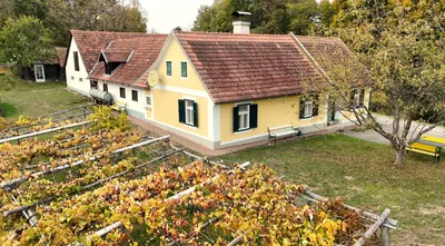 2-Zimmer-Haus kaufen in Hartberg-Fürstenfeld – 85,6 m², € 398.000 – Bild 9 von 37