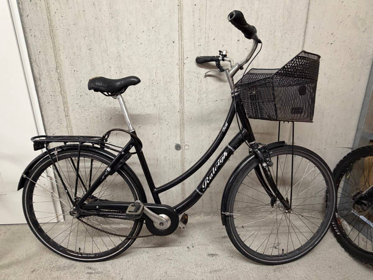 Bastler-Fahrrad: Raleigh Damenrad,  35,- (6020 Innsbruck) - willhaben