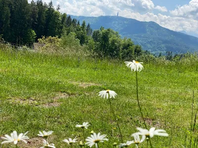 Grundstück kaufen in Klagenfurt Land – 1 672 m², € 332.728 – Bild 2 von 2