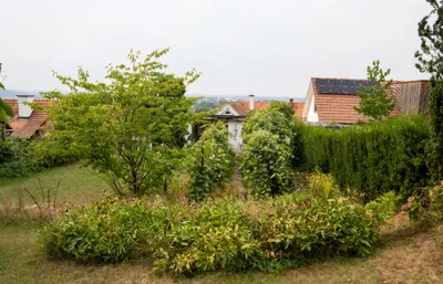 Immobilie mieten in Leibnitz – 153 m², € 1.400 – Bild 16 von 17