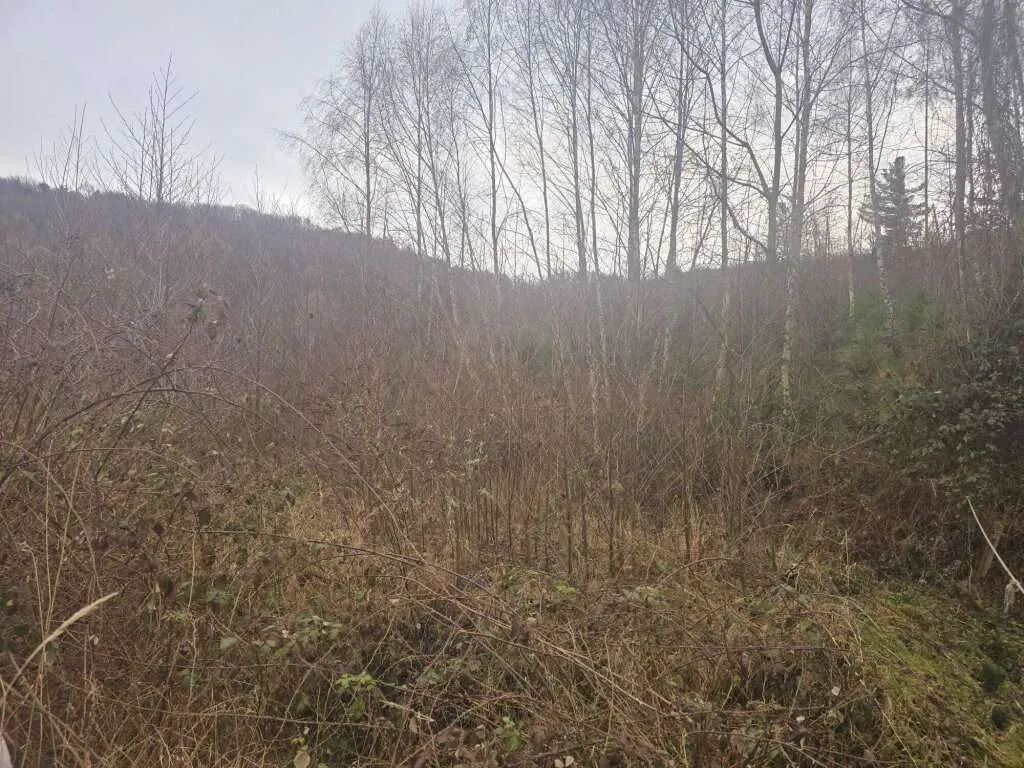+Baugrundstück in Grünruhelage mit Panoramablick+ Grundstück mit 751m² um Euro199.000+ Nähe Zentrum von Gablitz +NUR 5km von WIEN entfernt - Ansicht 3