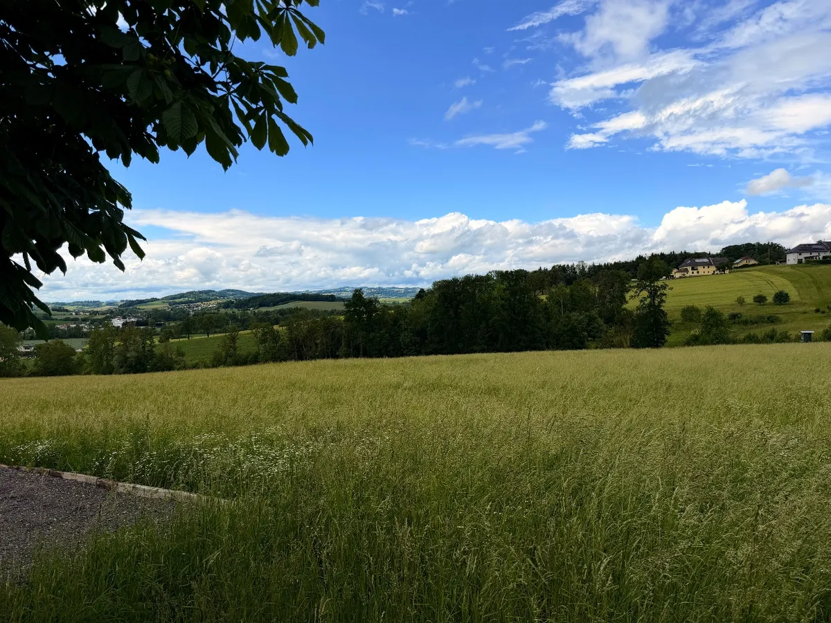 Landwirtschaftliche Fläche zwischen Fraham und Scharten zu verkaufen - Ansicht 2