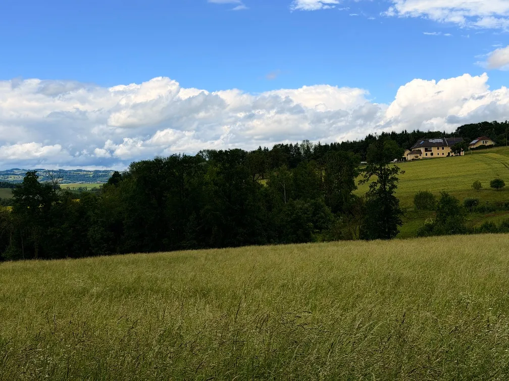 Landwirtschaftliche Fläche zwischen Fraham und Scharten zu verkaufen - Ansicht 3