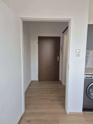 1-Zimmer-Wohnung mieten in Wels – 22 m², € 530 – Bild 2 von 13