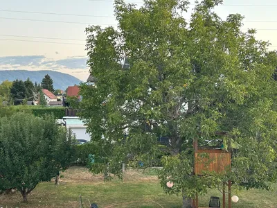 Grundstück kaufen in Graz – 662 m², € 220.000 – Bild 4 von 5