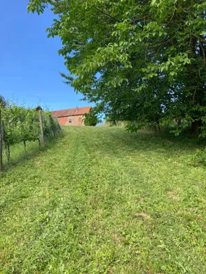 Grundstück kaufen in Südoststeiermark – 1 022 m², € 8.000 – Bild 2 von 19