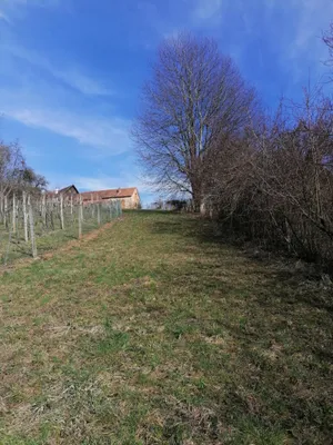 Grundstück kaufen in Südoststeiermark – 1 022 m², € 8.000 – Bild 9 von 19