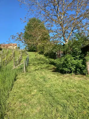 Grundstück kaufen in Südoststeiermark – 1 022 m², € 8.000 – Bild 5 von 19