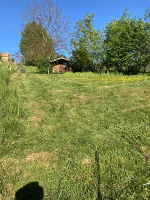 Grundstück kaufen in Südoststeiermark – 1 022 m², € 8.000 – Bild 6 von 19