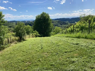 Grundstück kaufen in Südoststeiermark – 1 022 m², € 8.000 – Bild 18 von 19