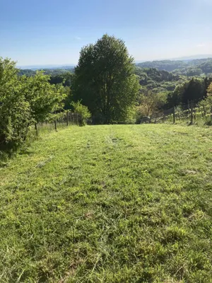 Grundstück kaufen in Südoststeiermark – 1 022 m², € 8.000 – Bild 4 von 19