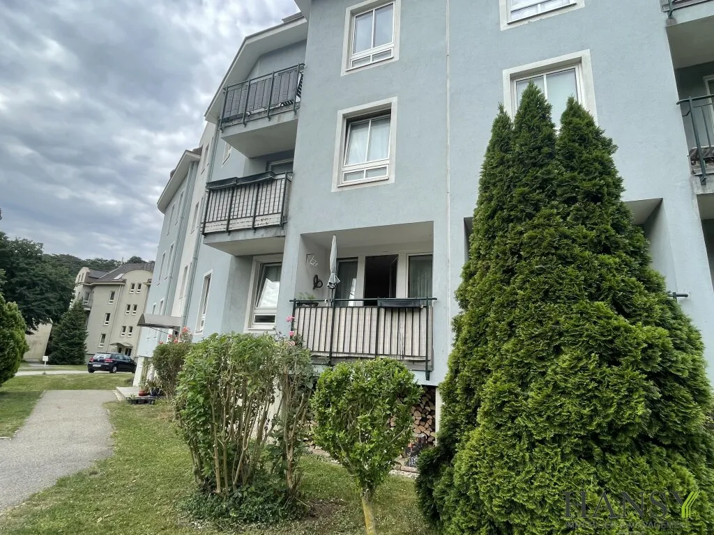 BADEN BEI WIEN: 2-Zimmer Wohnung mit Loggia & Stellplatz - TOP Lage & sofort bezugsfertig - Ansicht 2