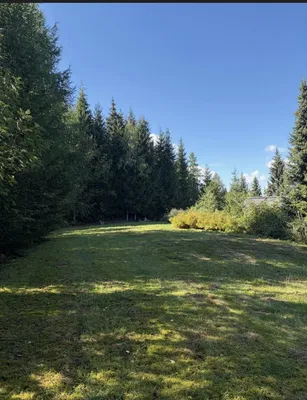 9-Zimmer-Wohnung kaufen in Villach Land – 242 m², € 670.000 – Bild 4 von 12