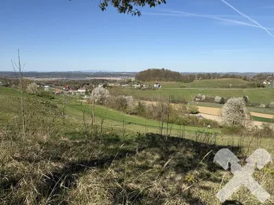 Grundstück kaufen in Jennersdorf – 1 466 m², € 90.000 – Bild 4 von 8