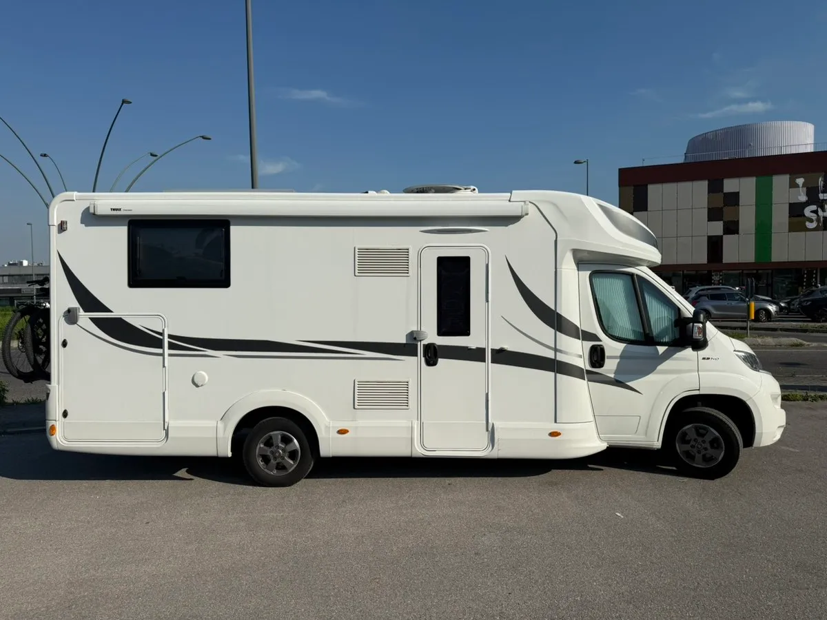 McLouis Yearling 61