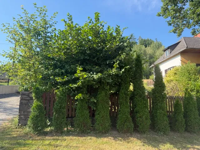 Exklusives Baugrundstück in Graz-Ragnitz - Ansicht 2