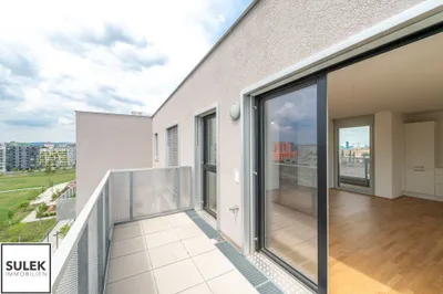 Großzügige Neubau-Dachgeschosswohnung mit Grünblick und Balkon/Terrasse - ab 1.7. beziehbar! – Bild 2