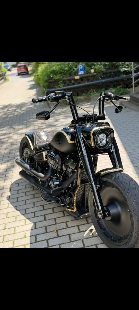 Harley-Davidson Softail